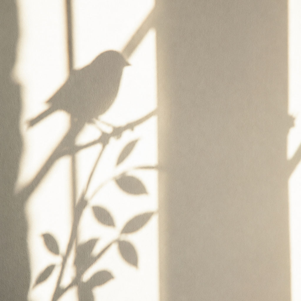 Early Bird