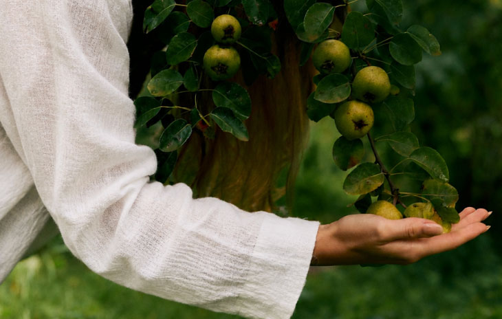 woman in a white long sleeved shirt holding an apple tree branch full of apples